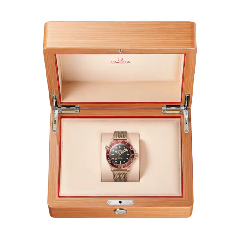 Relógio Seamaster Diver 300M